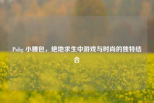 Pubg 小腰包，绝地求生中游戏与时尚的独特结合
