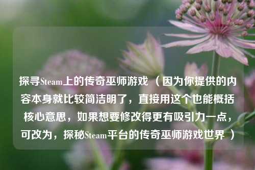 探寻Steam上的传奇巫师游戏 （因为你提供的内容本身就比较简洁明了，直接用这个也能概括核心意思，如果想要修改得更有吸引力一点，可改为，探秘Steam平台的传奇巫师游戏世界 ）