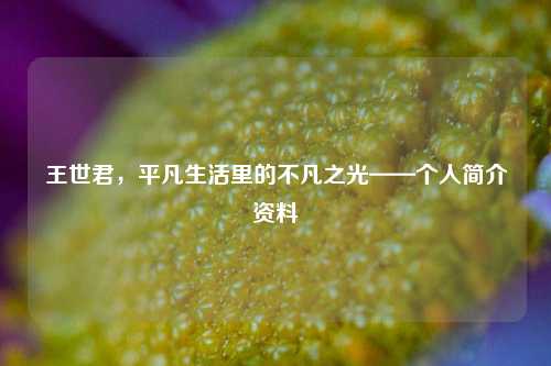 王世君，平凡生活里的不凡之光——个人简介资料