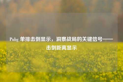 Pubg 单排击倒显示，洞察战局的关键信号——击倒距离显示