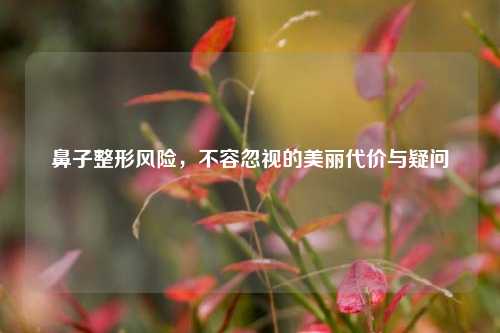 鼻子整形风险，不容忽视的美丽代价与疑问
