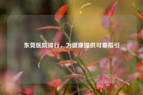 东莞医院排行，为健康提供可靠指引