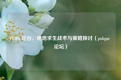 PUBG 论台，绝地求生战术与策略探讨（pubgm 论坛）