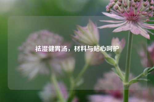 祛湿健胃汤，材料与贴心呵护