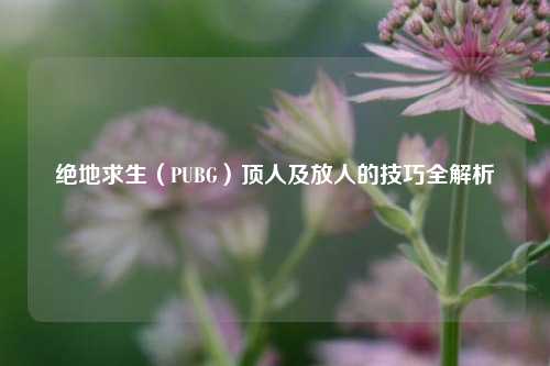 绝地求生（PUBG）顶人及放人的技巧全解析