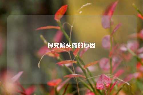 探究偏头痛的原因