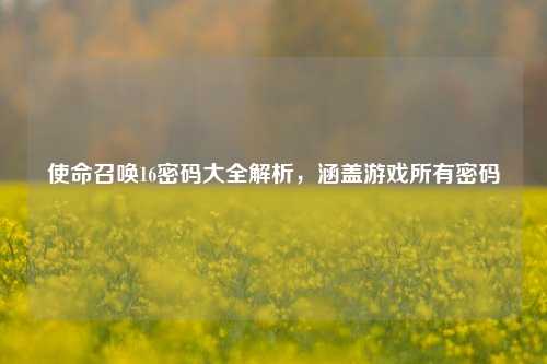 使命召唤16密码大全解析,涵盖游戏所有密码