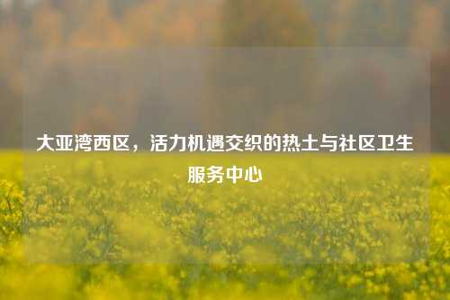 大亚湾西区,活力机遇交织的热土与社区卫生服务中心