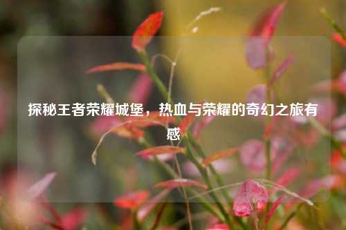 探秘王者荣耀城堡，热血与荣耀的奇幻之旅有感