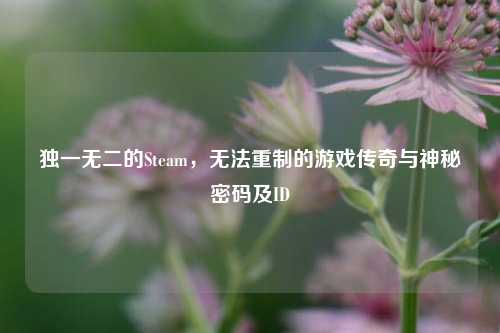 独一无二的Steam，无法重制的游戏传奇与神秘密码及ID