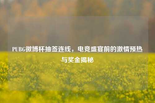 PUBG微博杯抽签连线，电竞盛宴前的 *** 预热与奖金揭秘