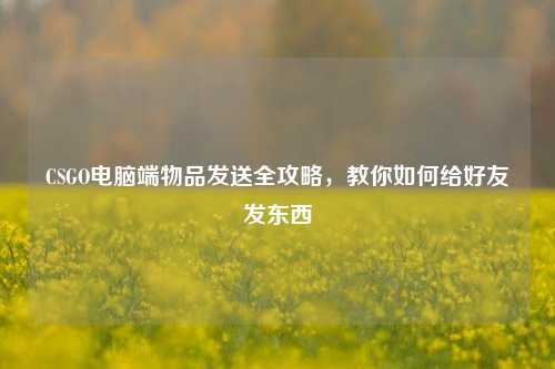 CSGO电脑端物品发送全攻略,教你如何给好友发东西