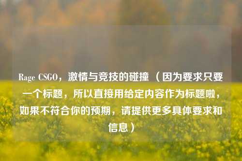 Rage CSGO， *** 与竞技的碰撞 （因为要求只要一个标题，所以直接用给定内容作为标题啦，如果不符合你的预期，请提供更多具体要求和信息）
