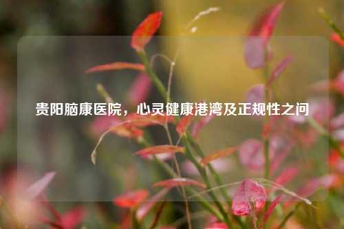 贵阳脑康医院，心灵健康港湾及正规性之问