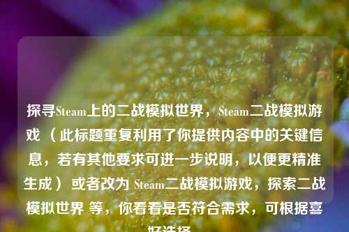 探寻Steam上的二战模拟世界，Steam二战模拟游戏 （此标题重复利用了你提供内容中的关键信息，若有其他要求可进一步说明，以便更精准生成） 或者改为 Steam二战模拟游戏，探索二战模拟世界 等，你看看是否符合需求，可根据喜好选择 。