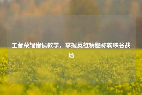 王者荣耀诸侯教学，掌握英雄精髓称霸峡谷战场