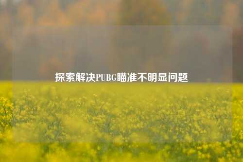 探索解决PUBG瞄准不明显问题