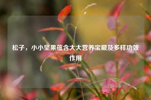 松子，小小坚果蕴含大大营养宝藏及多样功效作用