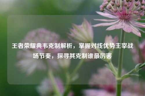 王者荣耀典韦克制解析，掌握对线优势主宰战场节奏，探寻其克制谁最厉害