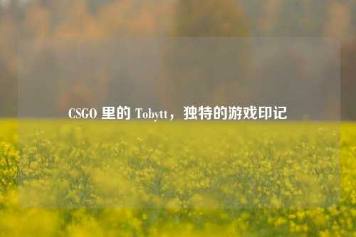 CSGO 里的 Tobytt，独特的游戏印记