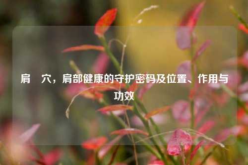 肩髃穴，肩部健康的守护密码及位置、作用与功效