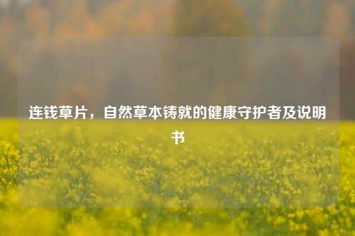 连钱草片,自然草本铸就的健康守护者及说明书