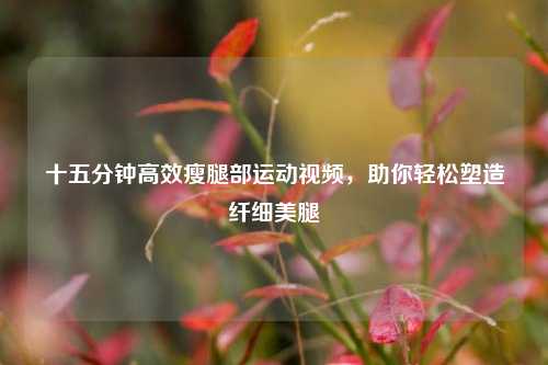 十五分钟高效瘦腿部运动视频，助你轻松塑造纤细 *** 