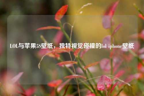 LOL与苹果5S壁纸，独特视觉碰撞的lol iphone壁纸