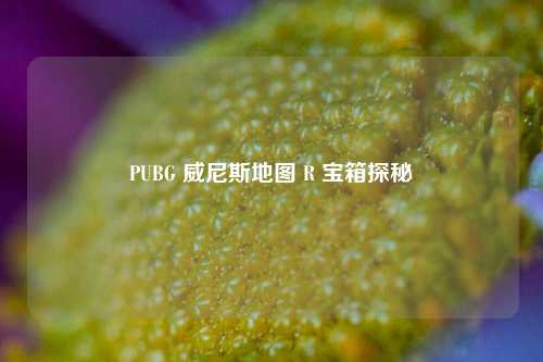 PUBG 威尼斯地图 R 宝箱探秘
