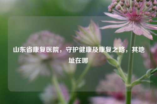 山东省康复医院，守护健康及康复之路，其地址在哪