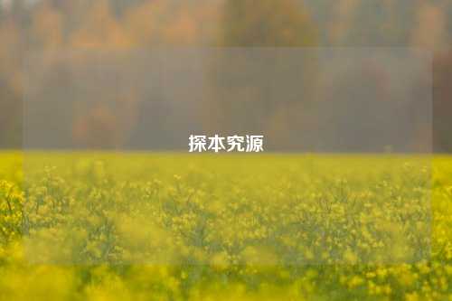 探本究源