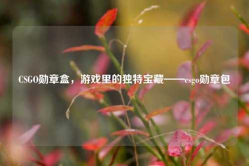 CSGO勋章盒,游戏里的独特宝藏——csgo勋章包