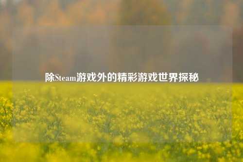 除Steam游戏外的精彩游戏世界探秘