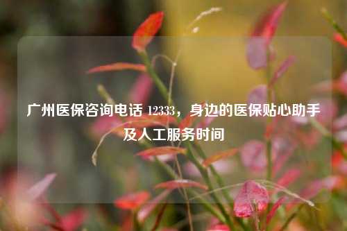 广州医保咨询 *** 12333,身边的医保贴心助手及人工服务时间