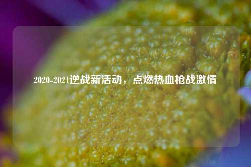 2020-2021逆战新活动，点燃热血枪战 *** 