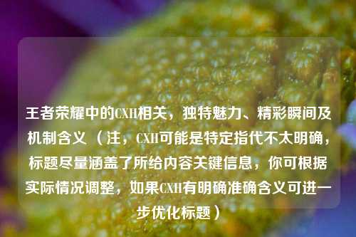 王者荣耀中的CXH相关，独特魅力、精彩瞬间及机制含义 （注，CXH可能是特定指代不太明确，标题尽量涵盖了所给内容关键信息，你可根据实际情况调整，如果CXH有明确准确含义可进一步优化标题）