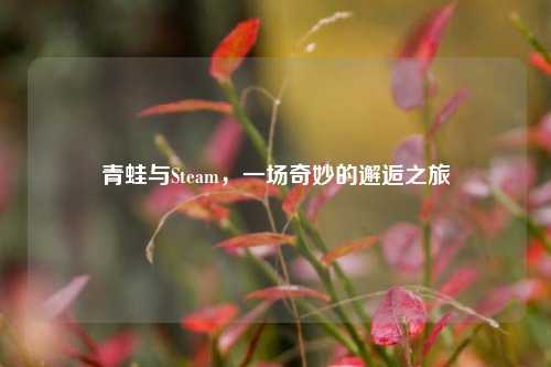 青蛙与Steam，一场奇妙的邂逅之旅