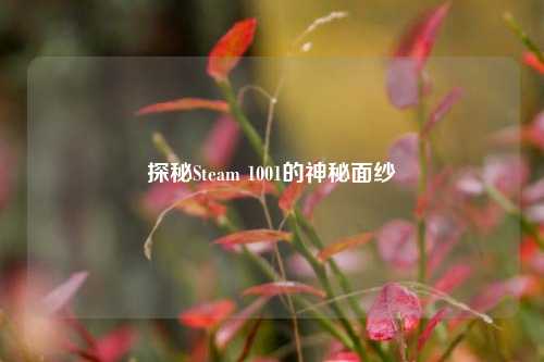 探秘Steam 1001的神秘面纱