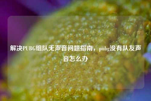 解决PUBG组队无声音问题指南，pubg没有队友声音怎么办