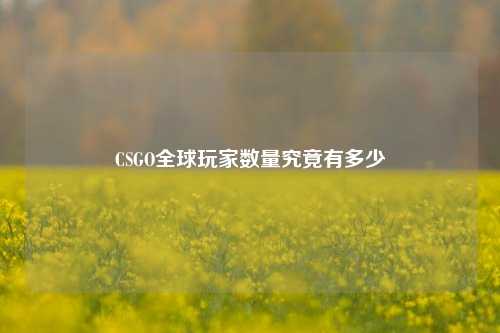 CSGO全球玩家数量究竟有多少