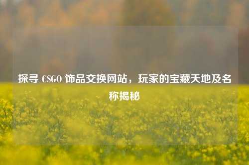 探寻 CSGO 饰品交换网站，玩家的宝藏天地及名称揭秘