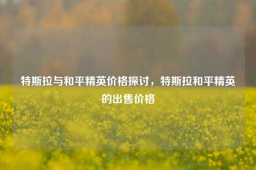 特斯拉与和平精英价格探讨,特斯拉和平精英的出售价格