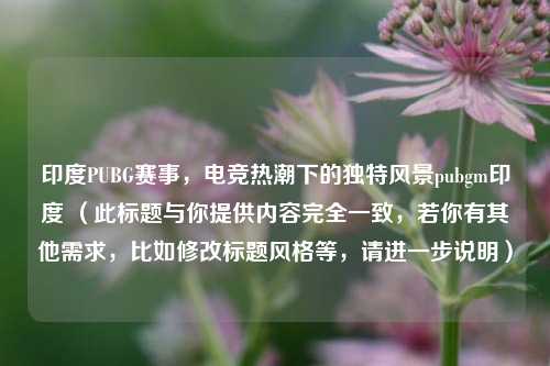 印度PUBG赛事，电竞热潮下的独特风景pubgm印度 （此标题与你提供内容完全一致，若你有其他需求，比如修改标题风格等，请进一步说明）