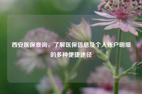 西安医保查询，了解医保信息及个人账户明细的多种便捷途径