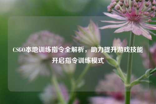 CSGO本地训练指令全解析，助力提升游戏技能开启指令训练模式