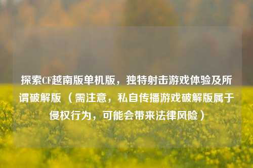探索CF越南版单机版,独特射击游戏体验及所谓破解版 (需注意,私自传播游戏破解版属于侵权行为,可能会带来法律风险)