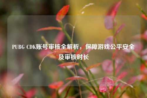 PUBG CDK账号审核全解析，保障游戏公平安全及审核时长