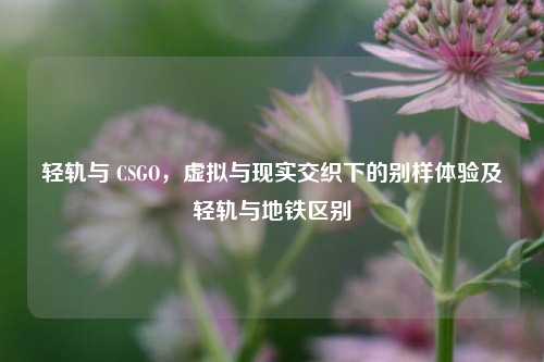 轻轨与 CSGO，虚拟与现实交织下的别样体验及轻轨与地铁区别