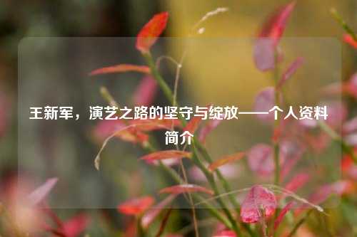 王新军,演艺之路的坚守与绽放——个人资料简介