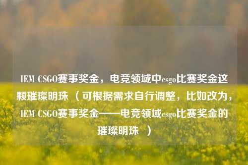 IEM CSGO赛事奖金，电竞领域中csgo比赛奖金这颗璀璨明珠 （可根据需求自行调整，比如改为，IEM CSGO赛事奖金——电竞领域csgo比赛奖金的璀璨明珠  ）